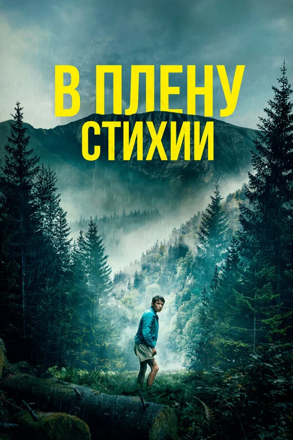 В плену стихии постер